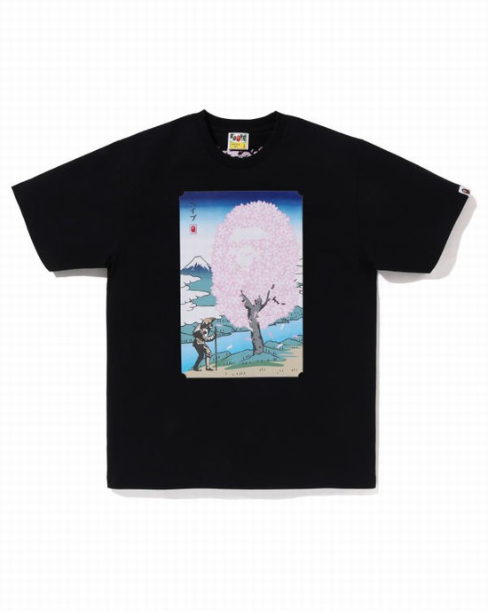 Black Bape Sakura Men's T Shirts | ZA-28790