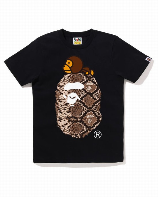 Black Bape Snake Milo On Big Ape Women's T Shirts | ZA-38617